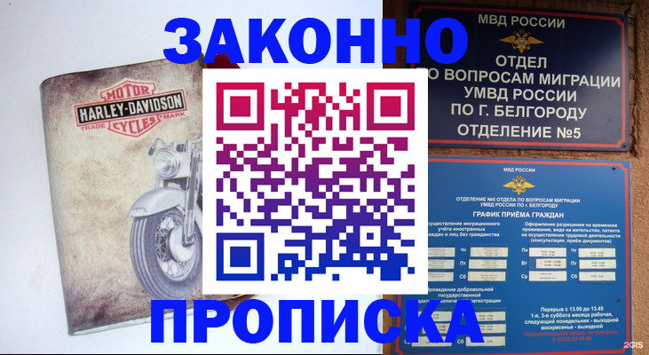 прописка для школы в Волоколамске